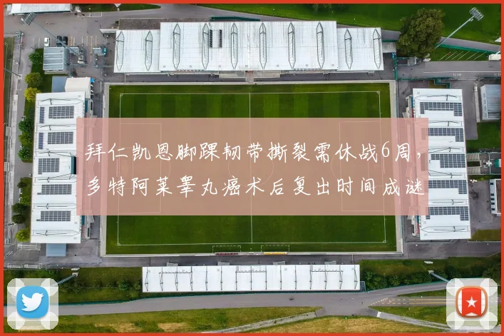拜仁凯恩脚踝韧带撕裂需休战6周,多特阿莱睾丸癌术后复出时间成谜